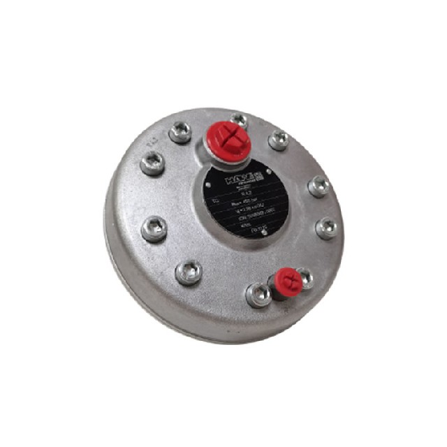 德國HAWE R4,2 徑向柱塞泵 液壓泵